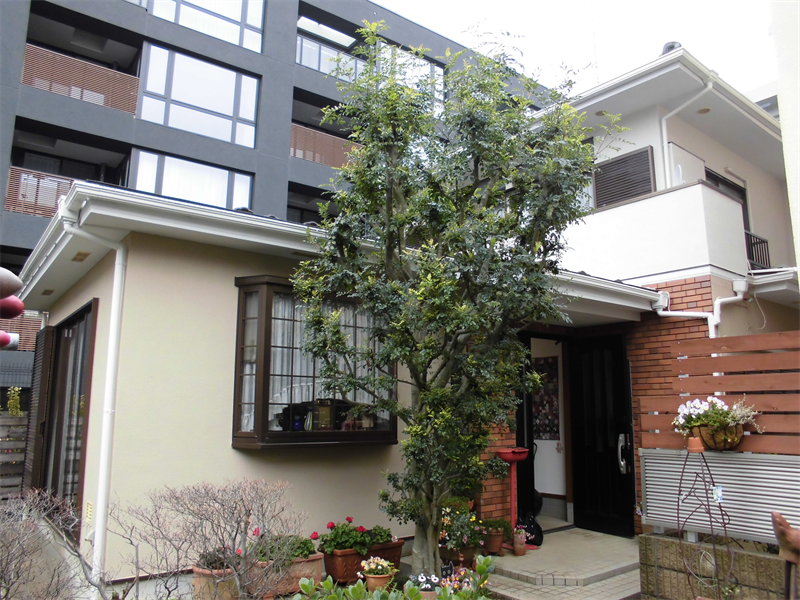 神奈川県川崎市中原区小杉陣屋町在住　Ｓ様邸