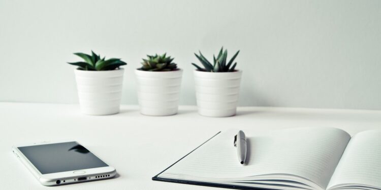 寒い日が続きますが。